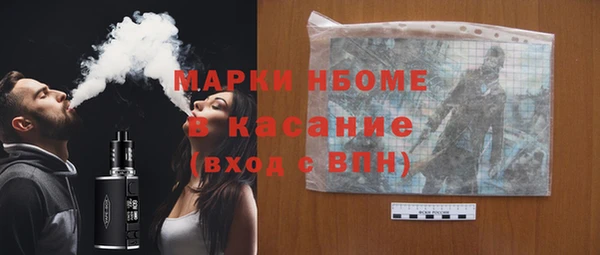 индика Медногорск
