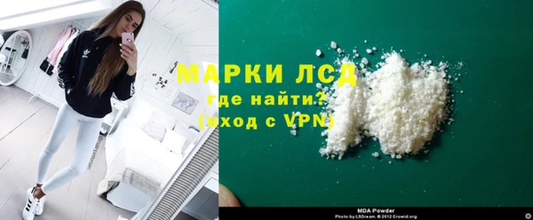 индика Медногорск