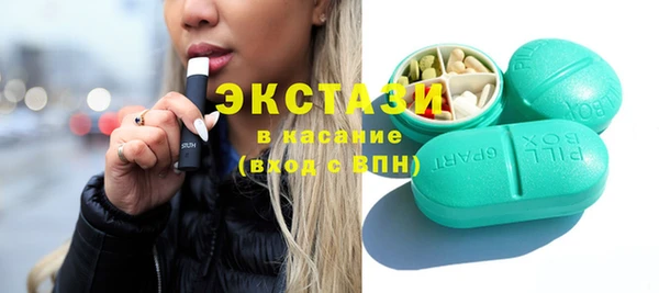 индика Медногорск