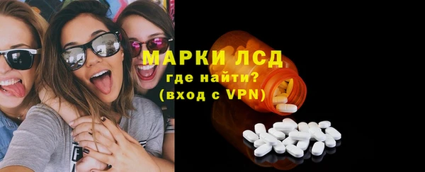 индика Медногорск