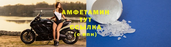 прущие грибы Малоархангельск