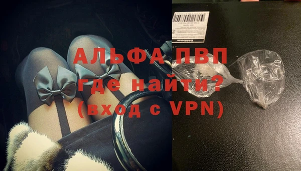 индика Медногорск