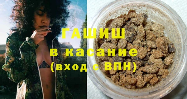 индика Медногорск
