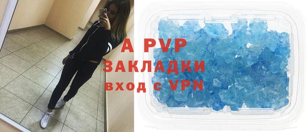 индика Медногорск