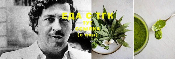 индика Медногорск